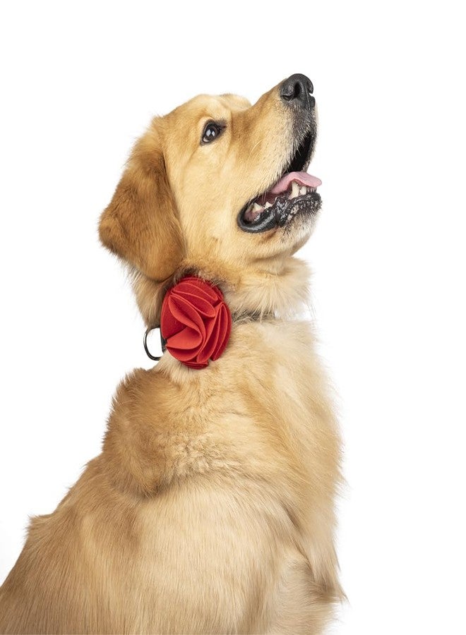 Zigly Ruby Rose Dog Bow Tie - | Breathable & Durable Fabric | Stylish Pet Accessory with Elastic Loop for Comfortable Fit (Red, L) - Image 4